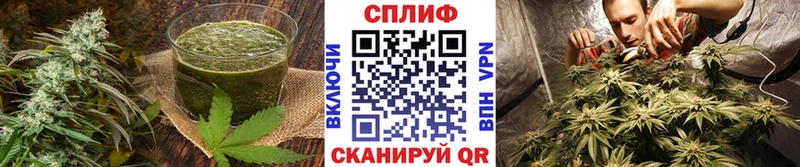 Canna-Cookies конопля Курган