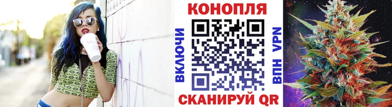 купить наркотики сайты  Курган  Марихуана гибрид 